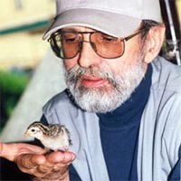 Gradimir Stojković Peta devojčica, Marja